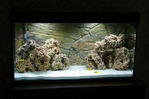 Fish tank rock - tank, stone