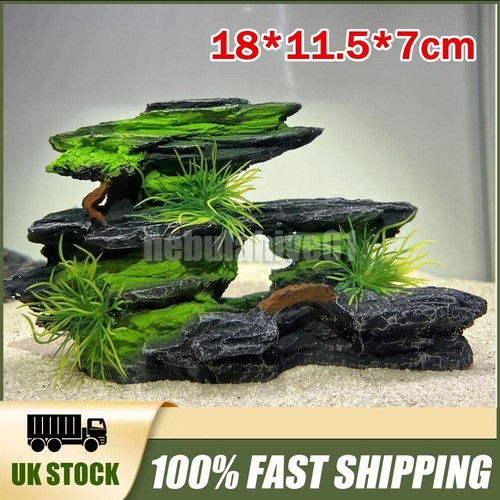 Aquarium fish tank - aquarium,