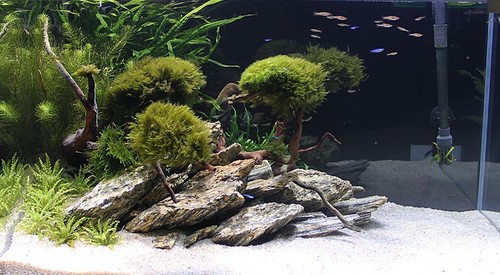 Aquarium rock fish tank - rock,