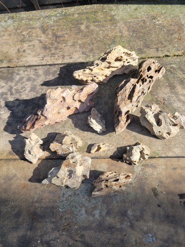 Aquarium dragon rock bundle - aquarium,