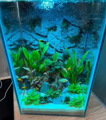 Aquarium stone rock natural - aquarium,