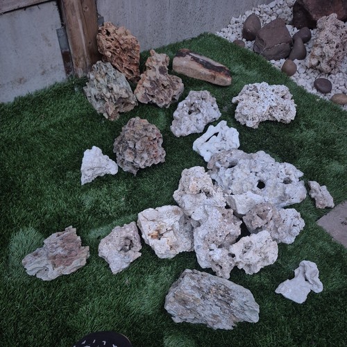 Dragon stone and reef - stone, aquarium