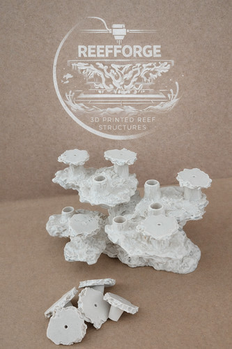 Printed coral frag - 3d,