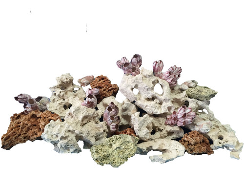 Aquarium rock fish - aquarium, tank