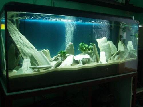 Aquarium slate fish tank - slate,