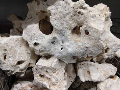 5kg aquarium ocean rock - rock, marine