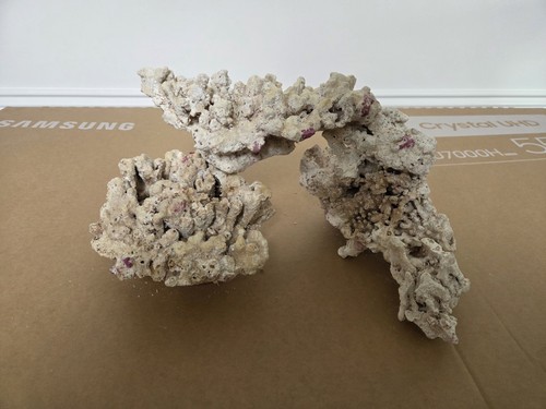 Reef rock real - reef,