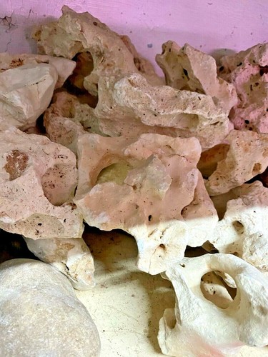 Aquarium rock stone fish tank - stone,