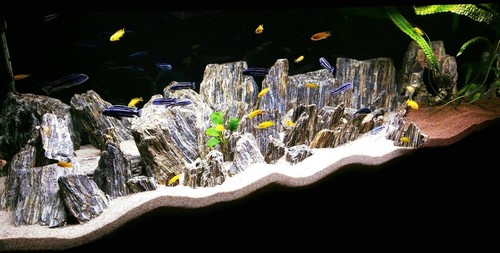 Aquarium stone natural fish - stone,
