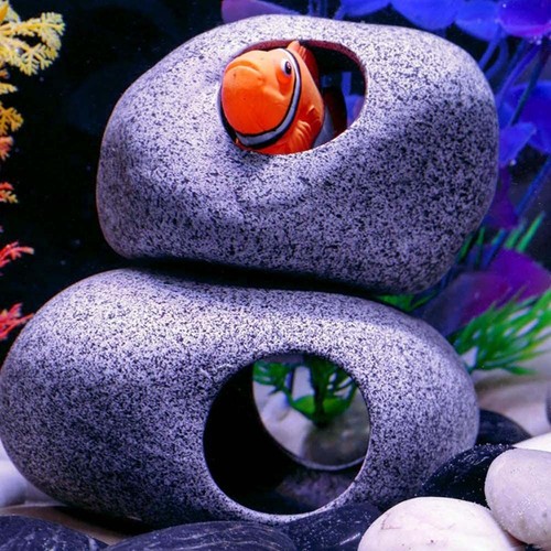 Fish cave aquarium - fish,