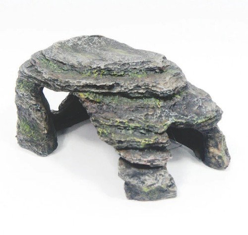 Aquarium vivarium fish tank - vivarium,