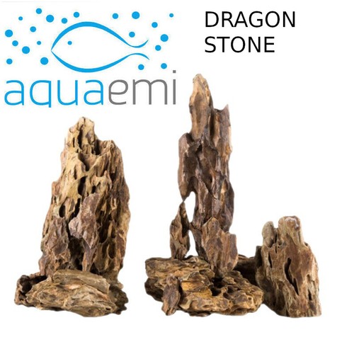 Dragon rock aquarium fish - dragon,