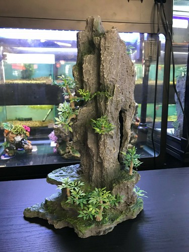 Large tall rock - large, fish