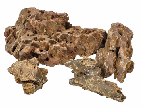 Dragon stone rock natural fish - dragon,