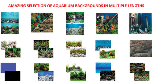 Seaview quality aquarium fish - seaview,
