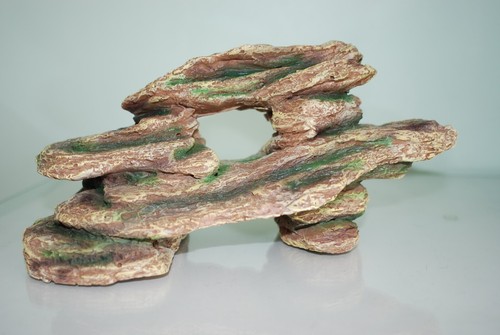 Stunning vivarium aquarium - stunning,