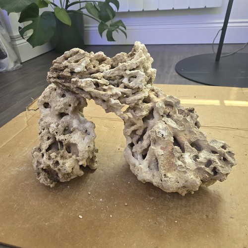 Reef rock real - rock,