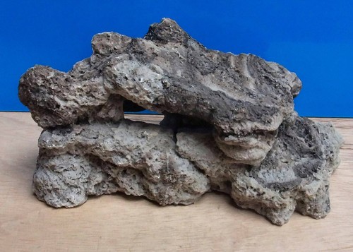 Sea rock cave reef coral - coral, large