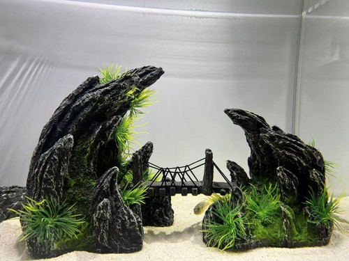 Large rock mountain - large, aquarium