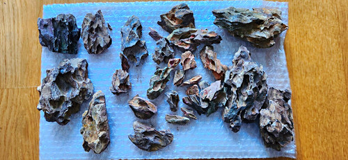 Natural aquarium dragon rock - natural,