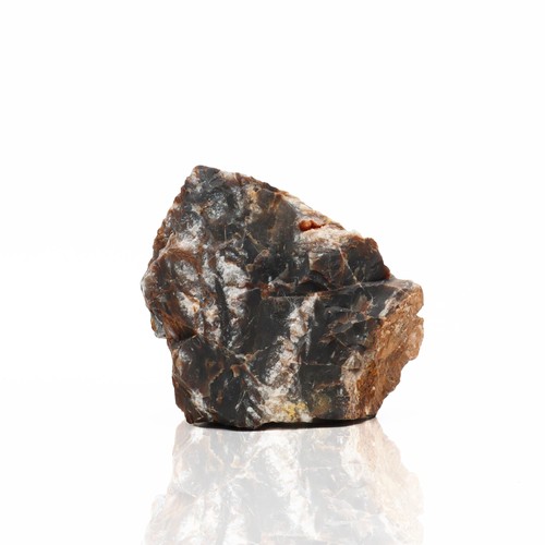Amtra petrified rock - -,