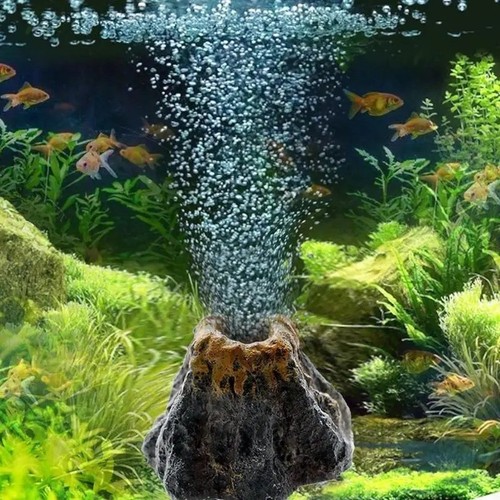 Aquarium oxygen pump - aquarium, air