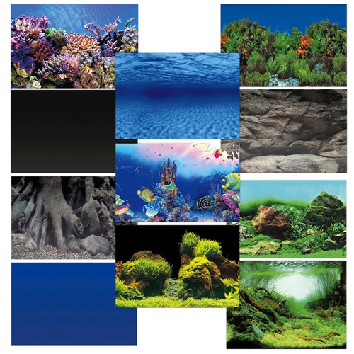 Superfish deco poster - superfish,