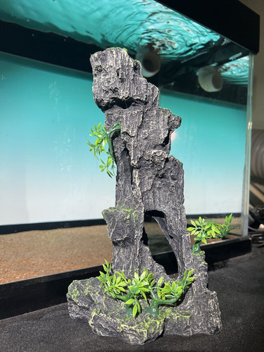 Aquarium ornament high rock - aquarium,