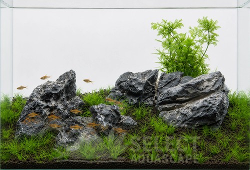 Seiryu stone aquarium - stone,