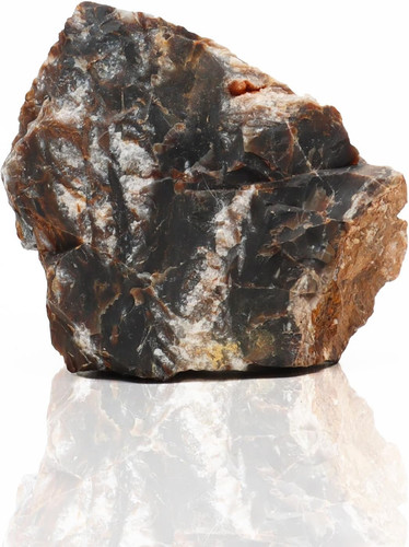 Petrified rock aquarium - -, rock,