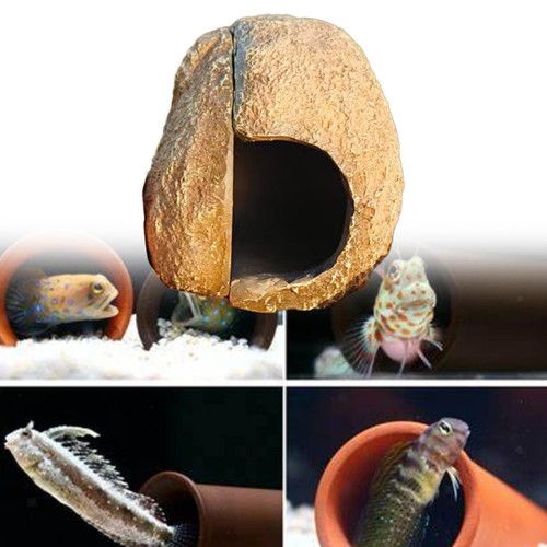 Aquarium rock cave fish - fish, tank