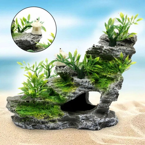 Aquarium fish tank - fish, decor
