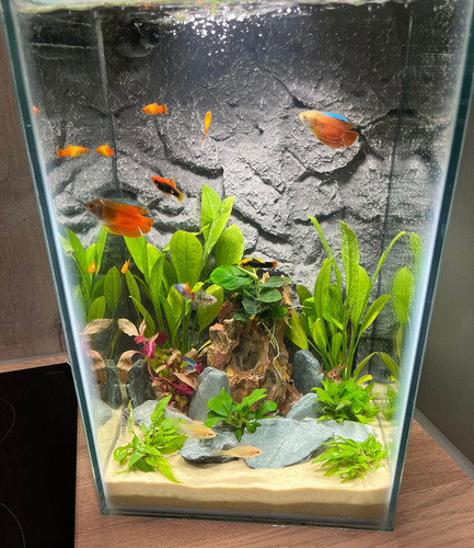 Aquarium stone rock - aquarium,