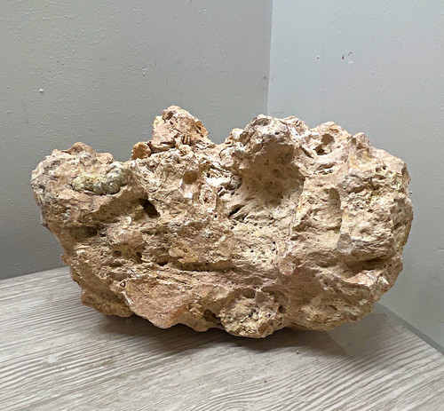 Porous white aquarium live - white,
