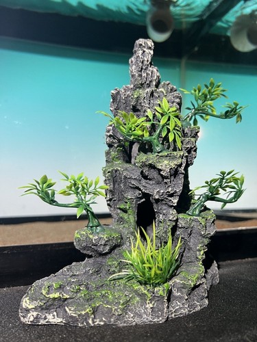 Aquarium ornament rock - aquarium,