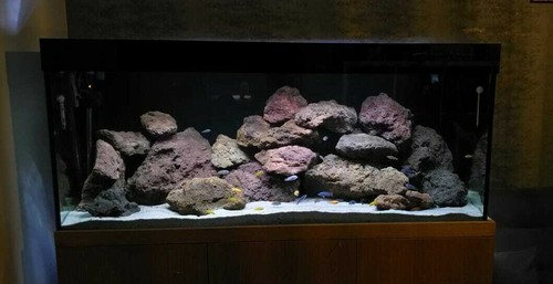 Aquarium rock fish - rock, stone