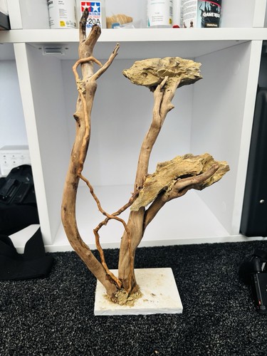 Aquarium driftwood and stone - aquarium,