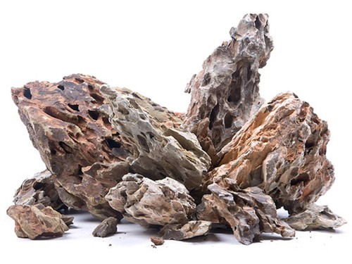 Dragon rock aquarium - dragon,