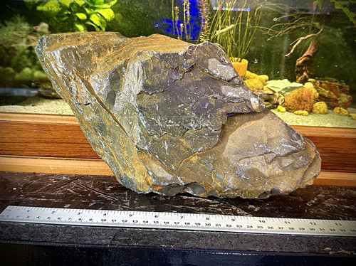 Large natural aquarium - aquarium, rock