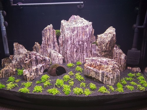 Aquarium rock natural fish - rock,