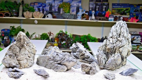 Seiryu ryuoh rock - seiryu,