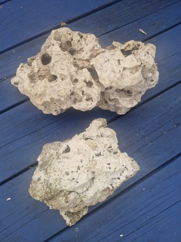 6kg aquarium ocean rock - ocean,