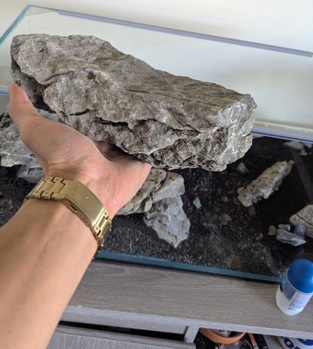 Grey seiryu stone aquarium - seiryu,